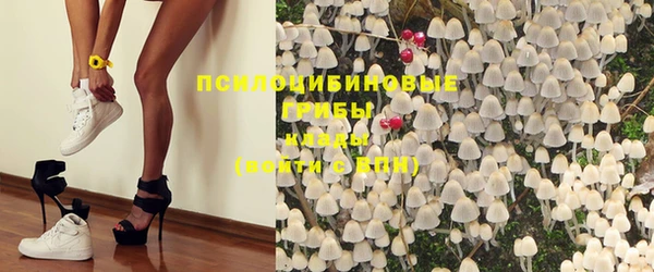 тгк Кинешма
