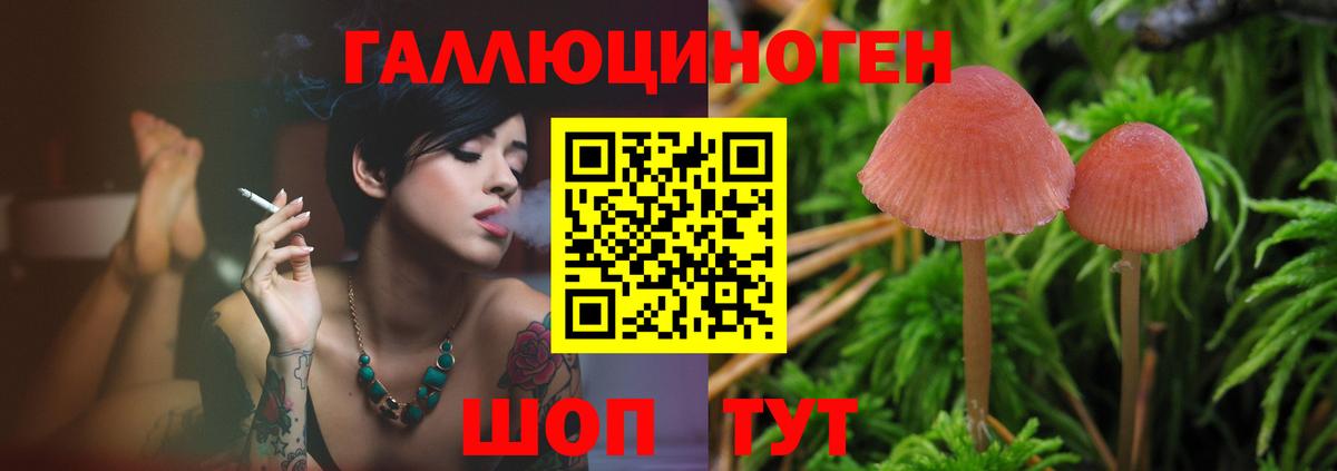 Феодосия  Псилоцибиновые грибы Cubensis  Вход с VPN  Галлюциногенные грибы MAGIC MUSHROOMS 